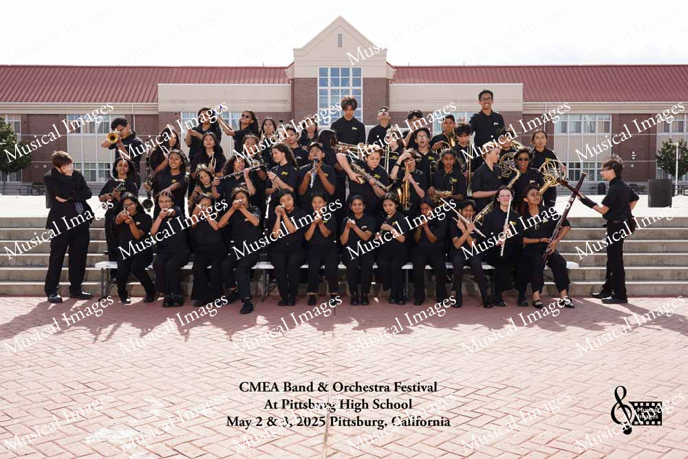 Musical Images